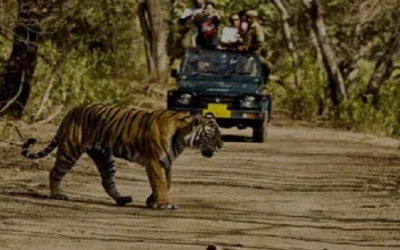 Jim Corbett Wildlife, Uttarakhand